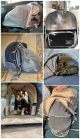 Mochila para transportar gatos, bolsa para perros pequeños, gatos, cachorros, espacio expansible, malla transpirable transparente - details 10