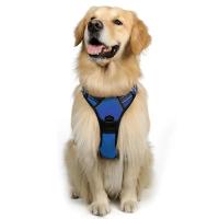 Arnés sin tirantes para perro, chaleco acolchado suave y ajustable para mascotas, color negro, 2 Clips de correa - details 4