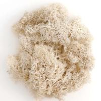 Musgo eterno, manualidades DIY, hierba, 20/40/100g, plantas verdes artificiales, decoración del hogar, habitación, jardín, mini país, hierba falsa - details 13