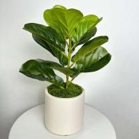 ETA para decoración del hogar, cerámica blanca plástico ETA, plantas, mesa de comedor nórdica decoración boda y dormitorio - details 1
