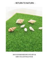 Césped de musgo simulado, alfombra verde artificial DIICOLE, micro suelo, decoración del suelo del hogar, 30x30cm, 1 pieza - details 7