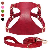 Set de cachorros, chaleco de cuero PU suave, arnés con correa de plomo para perros pequeños y medianos, gatos, chihuahua - details 1