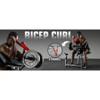 Banco de entrenamiento Mikolo Preacher, máquina de curl con placas de peso, equipo de entrenamiento para bíceps y tríceps, máquina de entrenamiento de brazos 2 en 1 para gimnasio en casa - details 1