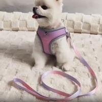 Chaleco con arnés para perro de Color degradado, transpirable con correa reflectante, correa para perro en el pecho y en la espalda, correa ajustable Universal para caminar para perros - details 1