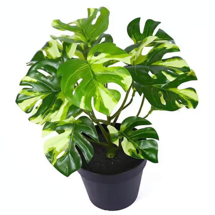 Creativo Tropical Oficina sala de estar escritorio decoración de jardín decoración de fiesta planta verde plantas de simulación hojas de tortuga planta falsa - 1