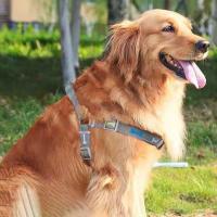 Arnés tipo chaleco para perro de hueso colorido ajustable, antirotura con cuerda, arnés de pecho para perro, chaleco de tracción para perro resistente al desgaste de poliéster - details 6