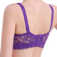 Seduce con Encaje y Látex Top de Lencería de Talla Grande con Hilo Interior - details 12