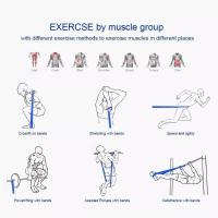 Bandas de resistencia para ejercicio, banda elástica para el hogar, Pilates, equipo de gimnasio, banda de asistencia para dominadas, accesorios de culturismo - details 5