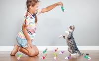 Paquete de 12 Juguetes para Gatos