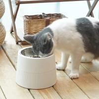Cuenco elevado para perro, comedero extraíble de acero inoxidable para comida y agua, plato antideslizante para perro - details 8