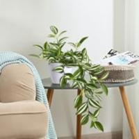 plantas artificiales decorativas
