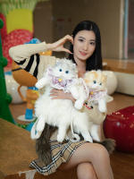 Muñeca muñeca de tela de felpa juguete cumpleañera explosión de la misma mochila de gato ragdoll simulada bolsa de gato gordito - details 25