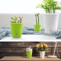 Contenedor de cultivo de plástico automático con orificio de drenaje, vivero de riego automático ETA, bonsái hortícola, 4 tamaños - details 3