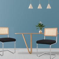 Comedor Tapizado, Sillas de Cocina Modernas con Patas de Metal, Gran Estabilidad y Capacidad de Carga, Blanco, Ratán, Vellón, Espuma, Unidades - details 19