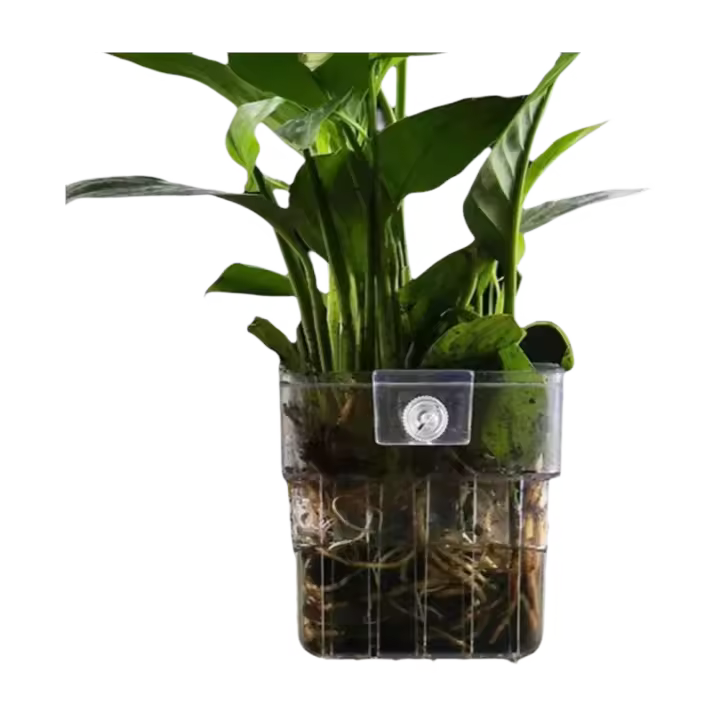 Burbujas acuario agua hierba taza múltiples plantas hidropónicas cesta de plantación hidropónica para paisaje de pecera - 1