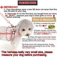 Arnés y Correa para Perros Pequeños Sin Neumáticos Ajustable Chihuahua Reflectante - details 2