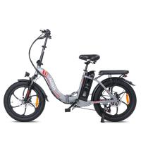 FAFREES F20 Bicicleta Eléctrica, Motor de 250W, Batería de 36V 16Ah, Neumáticos Anchos de 20*3 pulgadas, Velocidad Máxima de 25km/h, Autonomía de 60-80km, SHIMANO de 7 Velocidades, Frenos de Disco Mecánicos, Tracción Trasera, Pantalla LCD- Gris - details 1