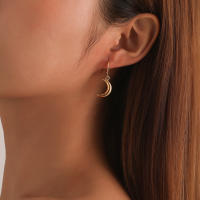 Pendientes de media luna tridimensionales a la moda y populares para mujer, pendientes de moda geométricos Retro simples - details 0