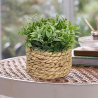 Plantas artificiales de Eulyptus, material de pila de hierba tejida de 11cm, decoración del hogar - details 2
