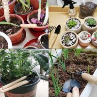 Juego de Herramientas de Jardín Mini Set de 3 Herramientas para Plantar, Poda, Sierras y Cultivos - details 7