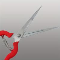 1 tijera de podar profesional para jardín con agarre rojo ergonómico: cuchillas rectas de acero inoxidable duraderas para arreglos de rosas, podar plantas y cosecha de frutas |   Mango antideslizante moderno, tijeras de jardinería, tijeras de jardín |   E - details 0