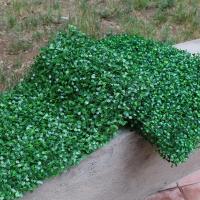 Paneles verdes de paredes de césped artificial que simulan el tamaño del césped 40x60cm - details 7