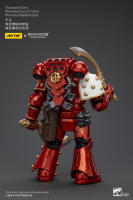 JOYTOY Figura de Acción Horus Heresy Legión de Mil Hijos del Tacticante MK IV - details 43