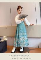 Falda Ma Mian para niñas, ropa estilo Tang, nuevo estilo de hadas de verano Hanfu, vestido súper hermoso, estilo occidental - details 10