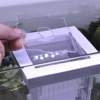 Caja de aislamiento de peces acrílica, incubadora desmontable para incubación de pecera, caja flotante para incubar, caja de aislamiento transparente para cría de peces - details 1