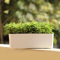 Riego automático ETA con indicador de nivel de agua para contenedores rectangulares grandes para plantar bonsái en hogares, jardines y - details 5