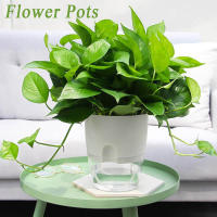 Macetas de flores hidropónicas de eneldo verde, suministros de jardín de doble capa, purificador de aire, irrigación automática de oficina, decoración del hogar - details 5