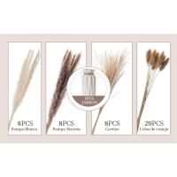 Pampas Secas Decoracion