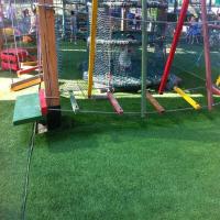Alfombras de césped artificial realistas para mascotas, alfombras sintéticas gruesas para jardines al aire libre, patios, zonas rurales y perros - details 3