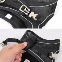 Conjunto de arnes ajustable para perros y gatos Chaleco para cachorros, Bulldog Francés, Chihuahua - details 2