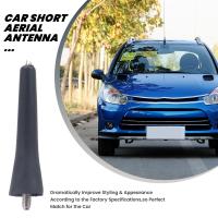 Mástil de antena aérea corta de techo 6561N3 para Peugeot 206 207 307 408 Citroen C2 C3 C4 C5 - details 2