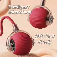 Nuevo Juguete Interactivo de Pelota para Gatos Bola Rueda Automática, Cola de Imitación, Entrenamiento para Perros y Gatos, Ratón de Imitación Recargable - details 2