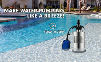SucceBuy Bomba de Agua Sumergible, con Cable de 10 m e Interruptor de Flotador Automático, Acero Inoxidable Portátil, para Agua Limpia, Zonas Inundadas - details 0