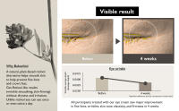 Vegan Anti Aging Collection for Radiant & Renewed Skin 2