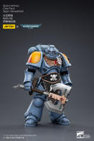 JOYTOY 1/18 figura de acción Space Wolves Claw Pack Sigyrr Stoneshield colección de Anime modelo militar - details 3
