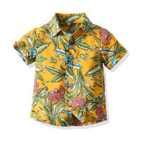 Ropa de verano para niños, camisas de manga corta estampadas, camisetas para bebés, conjunto informal de tres piezas, festival del Agua con salpicaduras - details 16