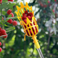Cabezal recolector de frutas de plástico, herramienta de recolección de Jujube, Bayberry, jardín, huerto, granja, alta altitud - details 11