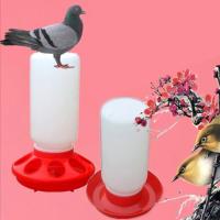 Bebedero de plástico para pollos, dispensador automático de alimentos de agua segura, sin residuos, fácil de limpiar, equipo para aves - details 5