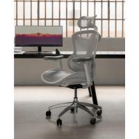 Silla de Oficina Ergonómica Resalto Alto, Transpirable, Silla de Malla con Apoyabrazos 3D y Soporte Lumbar Ajustable (Gris) - details 3