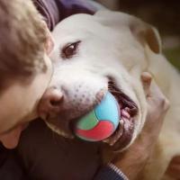 Bolas de goma sólida para perros, juguete interactivo virtualmente indestructible para perros, juguete de entrenamiento para masticar, juguetes para morder - details 2
