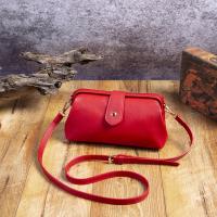 2025 nuevas mujeres retro bolso de cuero de la PU clip bolso casual mini bolso de mensajero - details 2