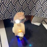 Mini Scooter Eléctrico de iluminación para acrobacias, motocicleta, suministros para mascotas, juguete para hámster - details 4