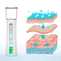 Vaporizador Facial portátil, nebulizador de Nano niebla, Humidificador hidratante de la piel, máquina de prueba de piel Facial, pantalla LED de Spa - details 8