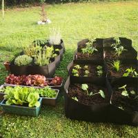 Bolsa de plantación Rectangular de fieltro para verduras, flores, bolsillos de cama de jardín elevados, bolsas de cultivo de plantas cuadradas multirejilla S - details 3