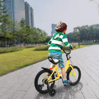 Bicicleta de princesa con ruedas de entrenamiento para niñas, Pedal ligero, altura ajustable, desmontable, 16 pulgadas - details 10