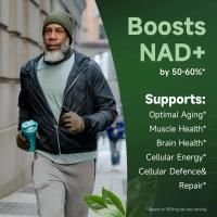 NR900 - Ribosido de nicotinamida liposomial, resveratrol y quercetina de Quitmood: suplemento de NAD de alta pureza para esquí - details 4